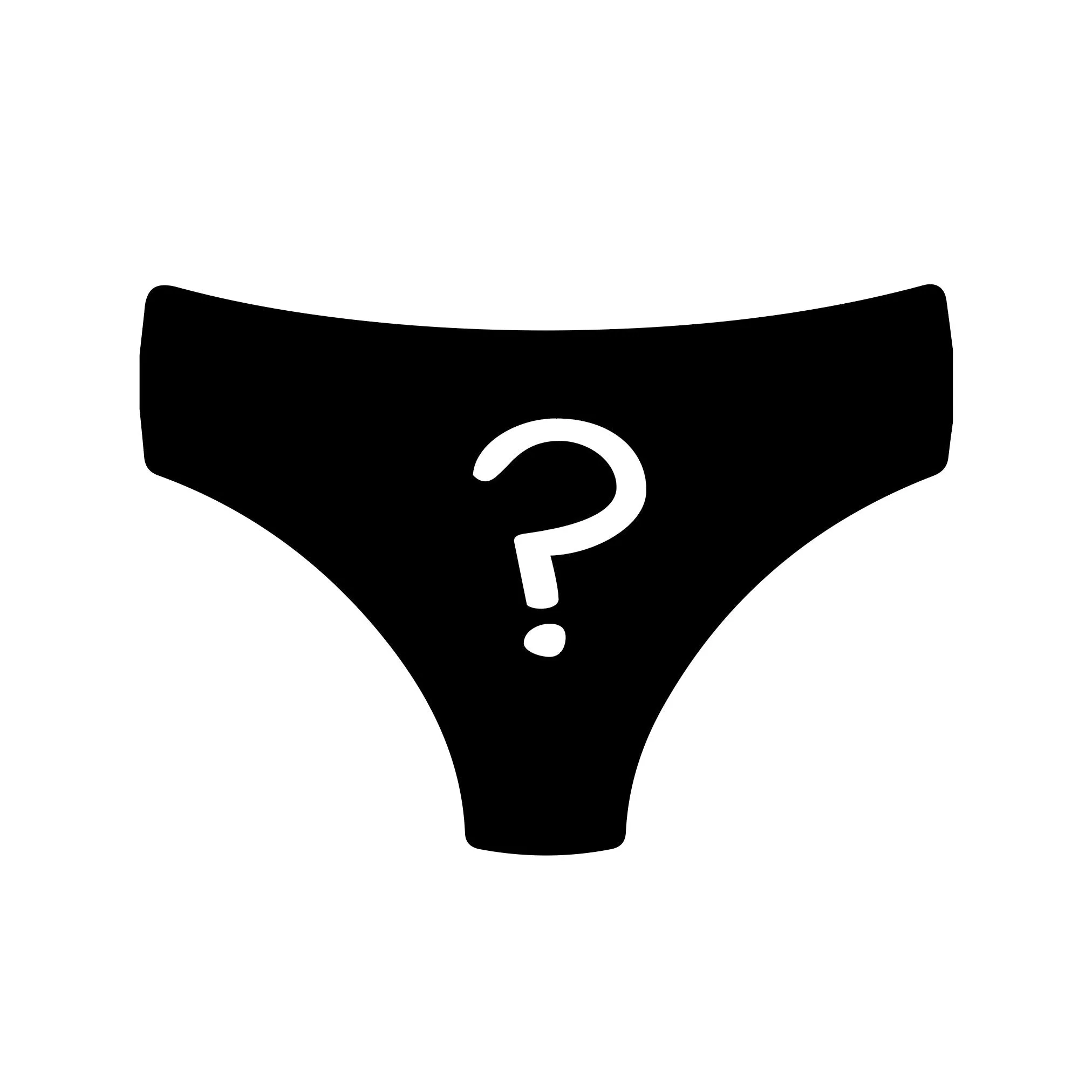 06 Month Pre-Paid: Ladies Brief & Free Socks - Monthly Subscription [G2]