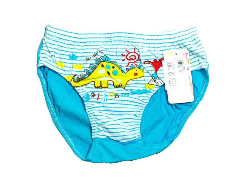 Boys Underwear