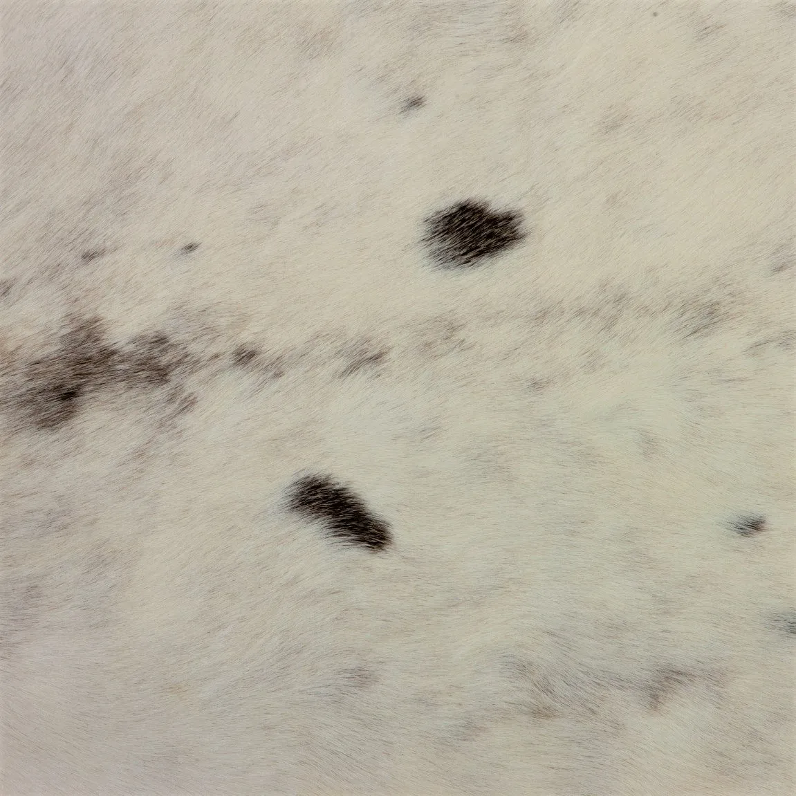 Caribou / Reindeer Skin - White
